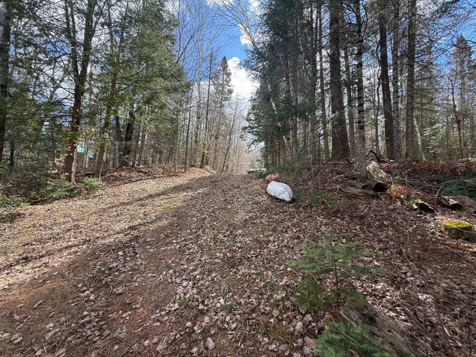 8577 Ch. Du Lac-labelle Property Photo 44