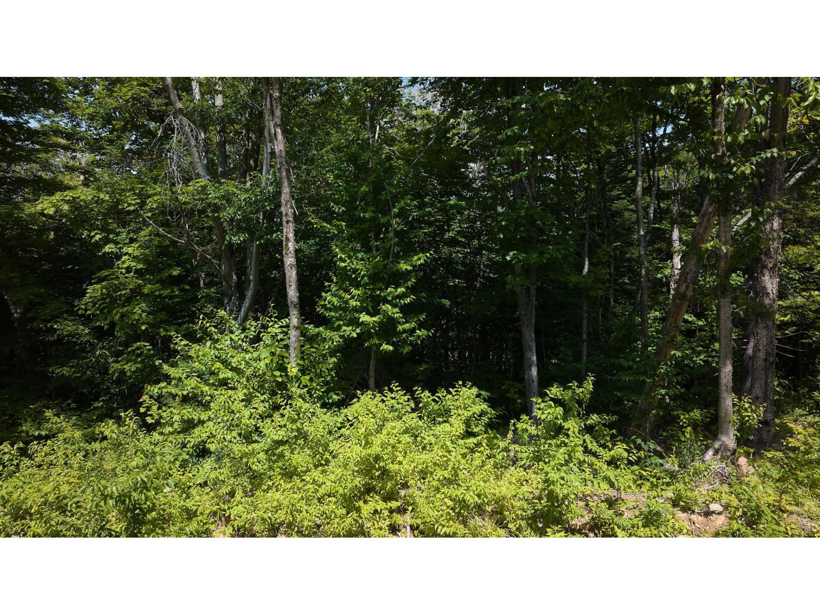 Ch. De La Consol Property Photo 19