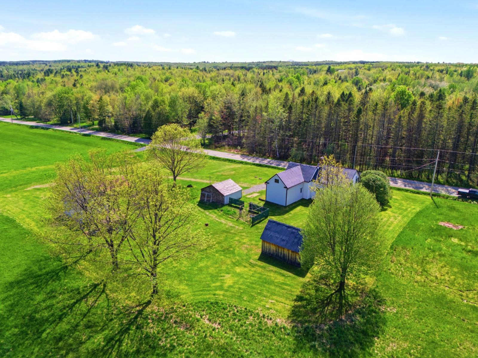 2078z Ch. Hamel Property Photo 48