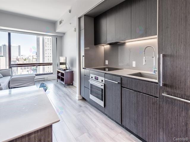 1288 Av. Des Canadiens-de-montréal, #2005 Property Photo 4