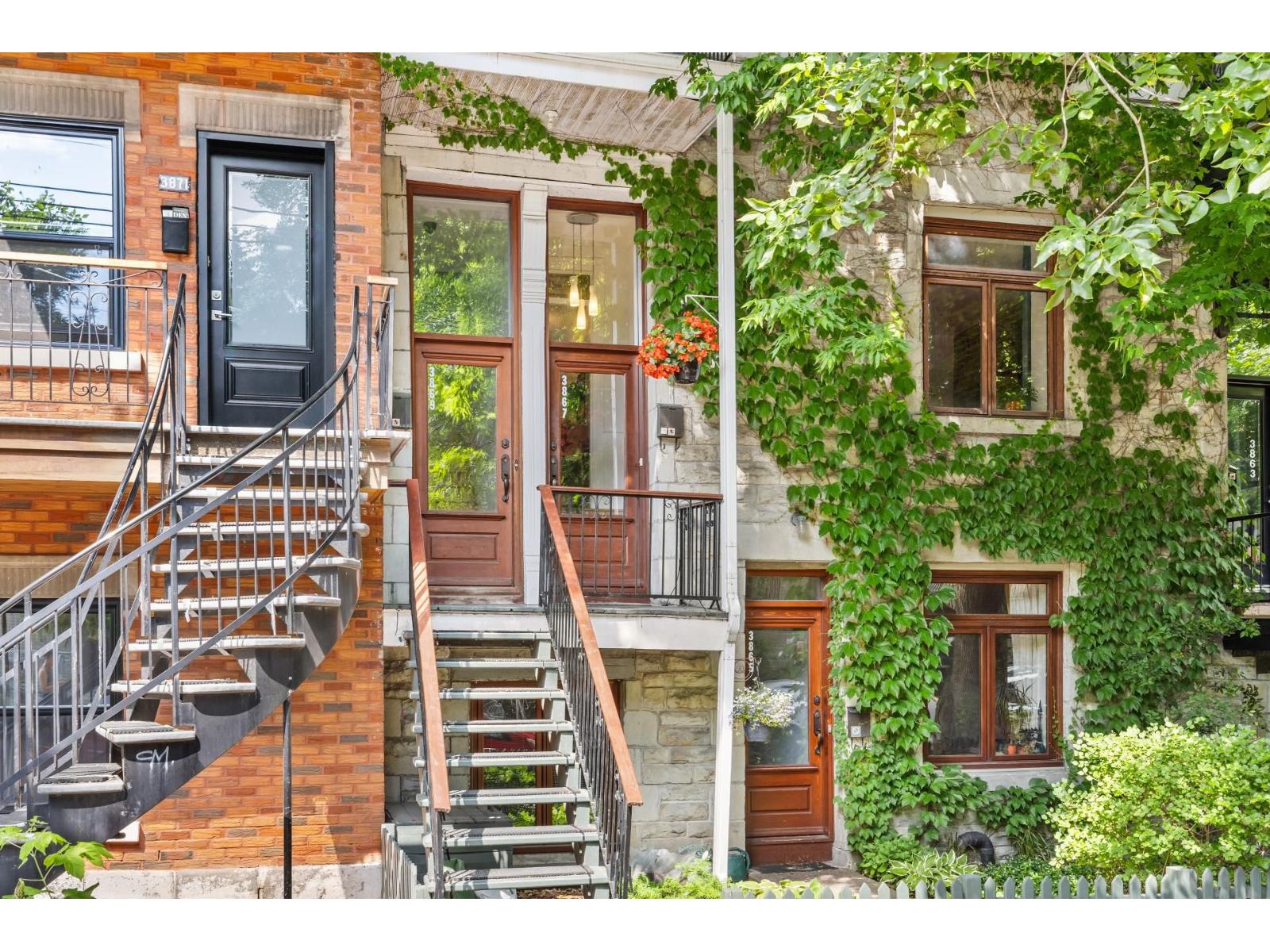 3867 Rue De Mentana Property Photo 1