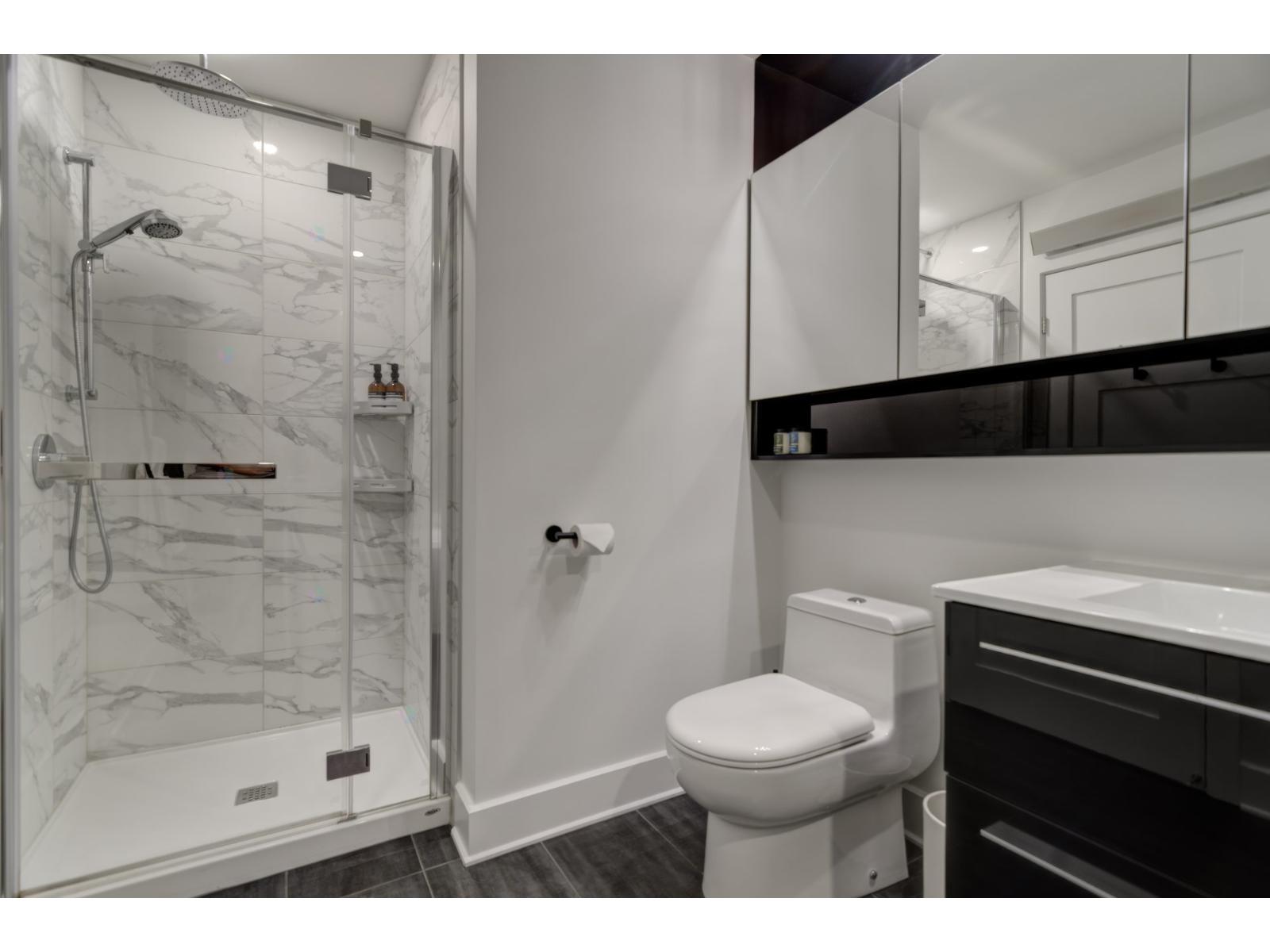 2855 Av. Du Cosmodôme, #102 Property Photo 26