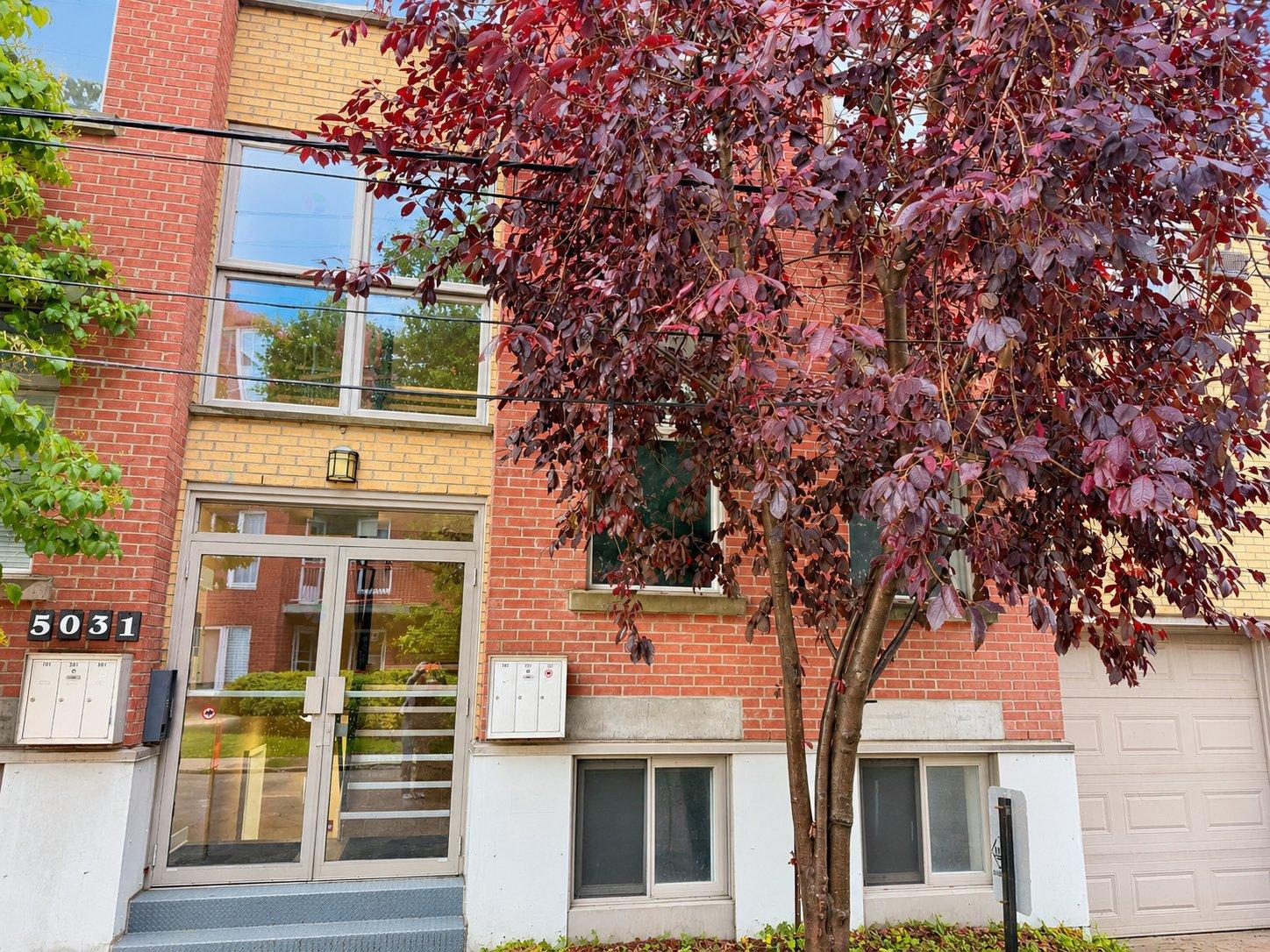 5031 Rue Turcot, #102 Photo de la propriété 1