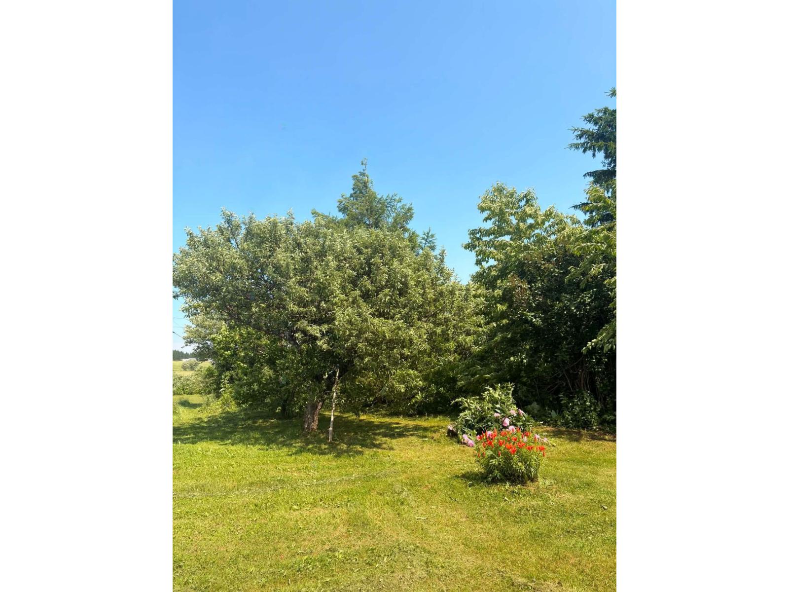 61 Rg De La Coulée Property Photo 16