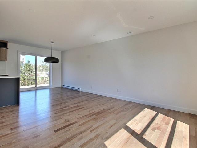 Rue Guy-linteau Property Photo 3