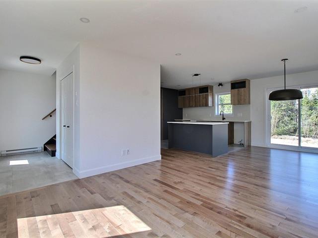 Rue Guy-linteau Property Photo 5