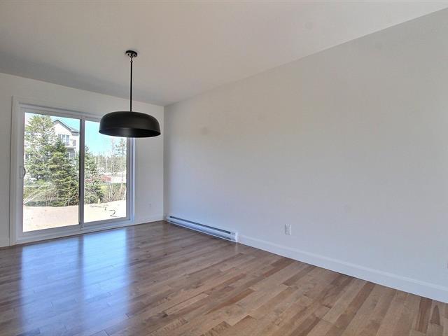 Rue Guy-linteau Property Photo 6