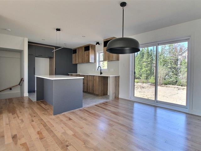 Rue Guy-linteau Property Photo 7