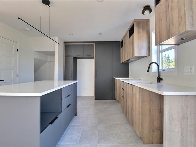Rue Guy-linteau Property Photo 9