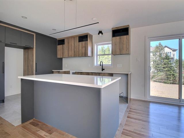 Rue Guy-linteau Property Photo 11