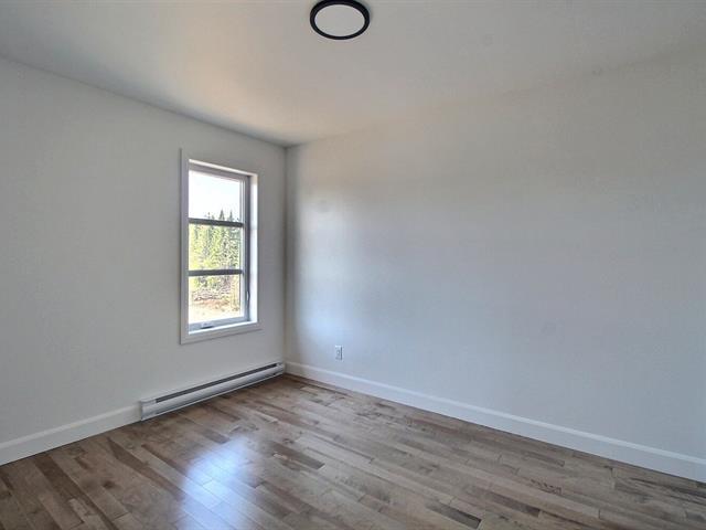 Rue Guy-linteau Property Photo 12