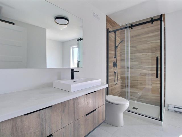 Rue Guy-linteau Property Photo 17