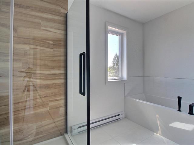 Rue Guy-linteau Property Photo 18