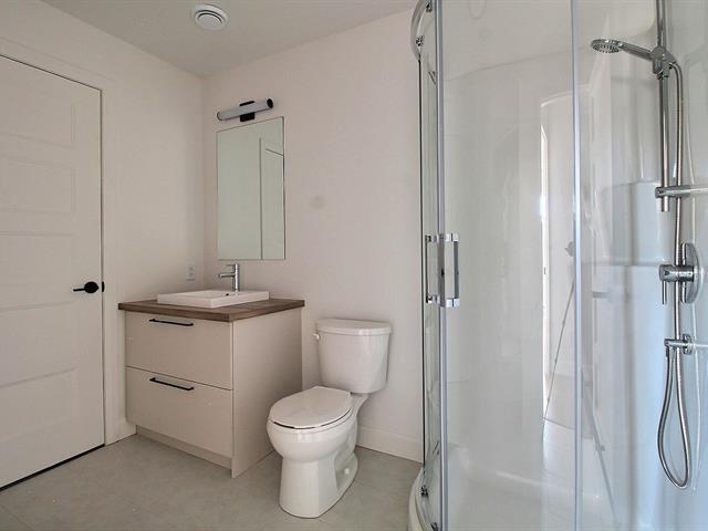 Rue Guy-linteau Property Photo 21
