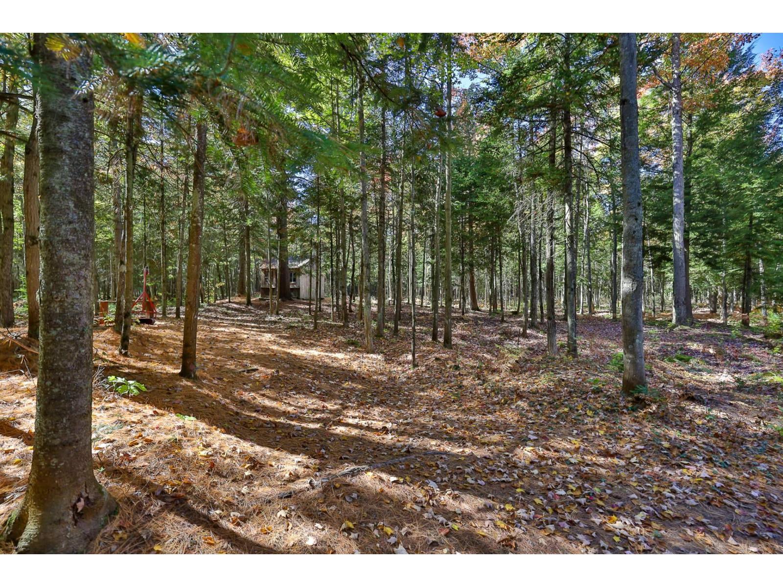 304z Rg Nord Property Photo 58