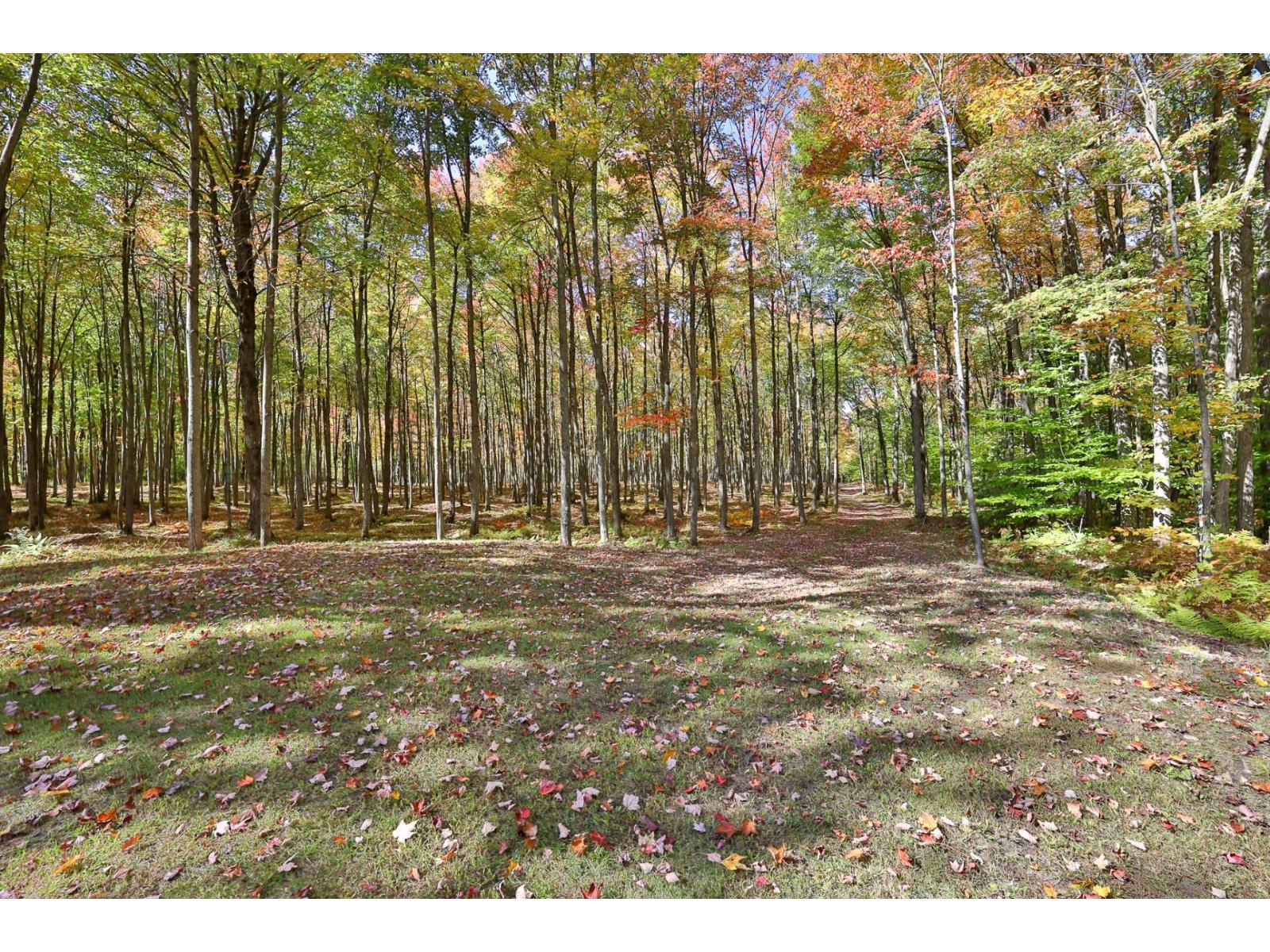 304z Rg Nord Property Photo 59