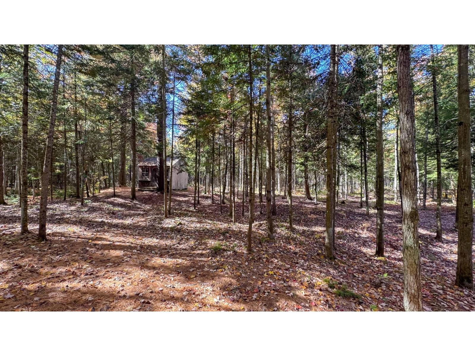 304z Rg Nord Property Photo 60