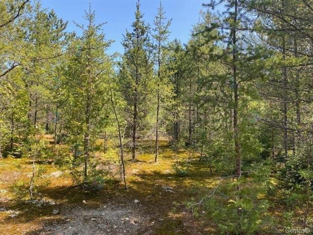 Av. Gagné Property Photo 1