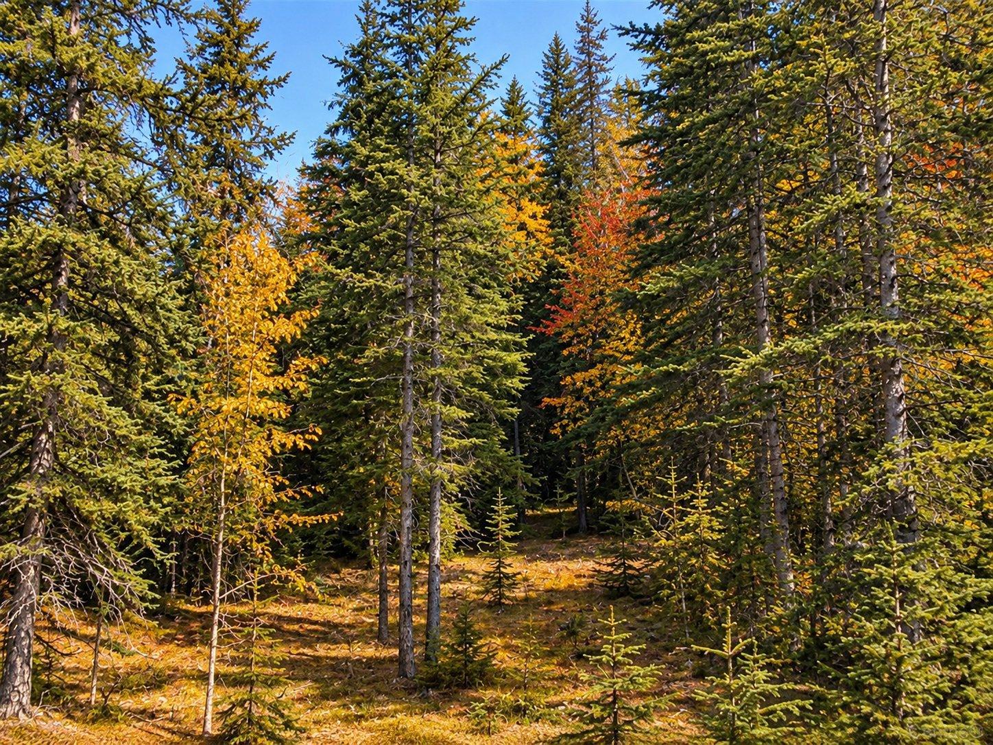 Av. Gagné Property Photo 1