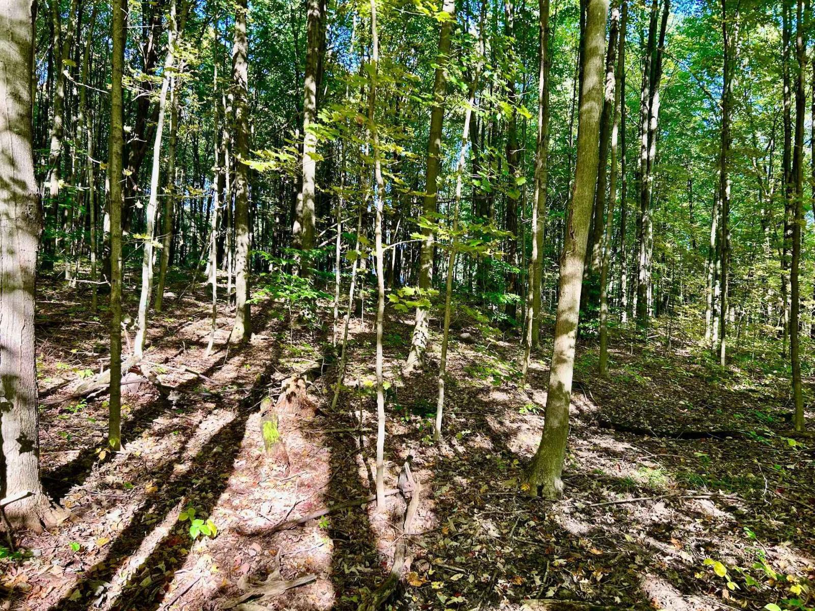 Ch. Raoul-mallette Property Photo 5