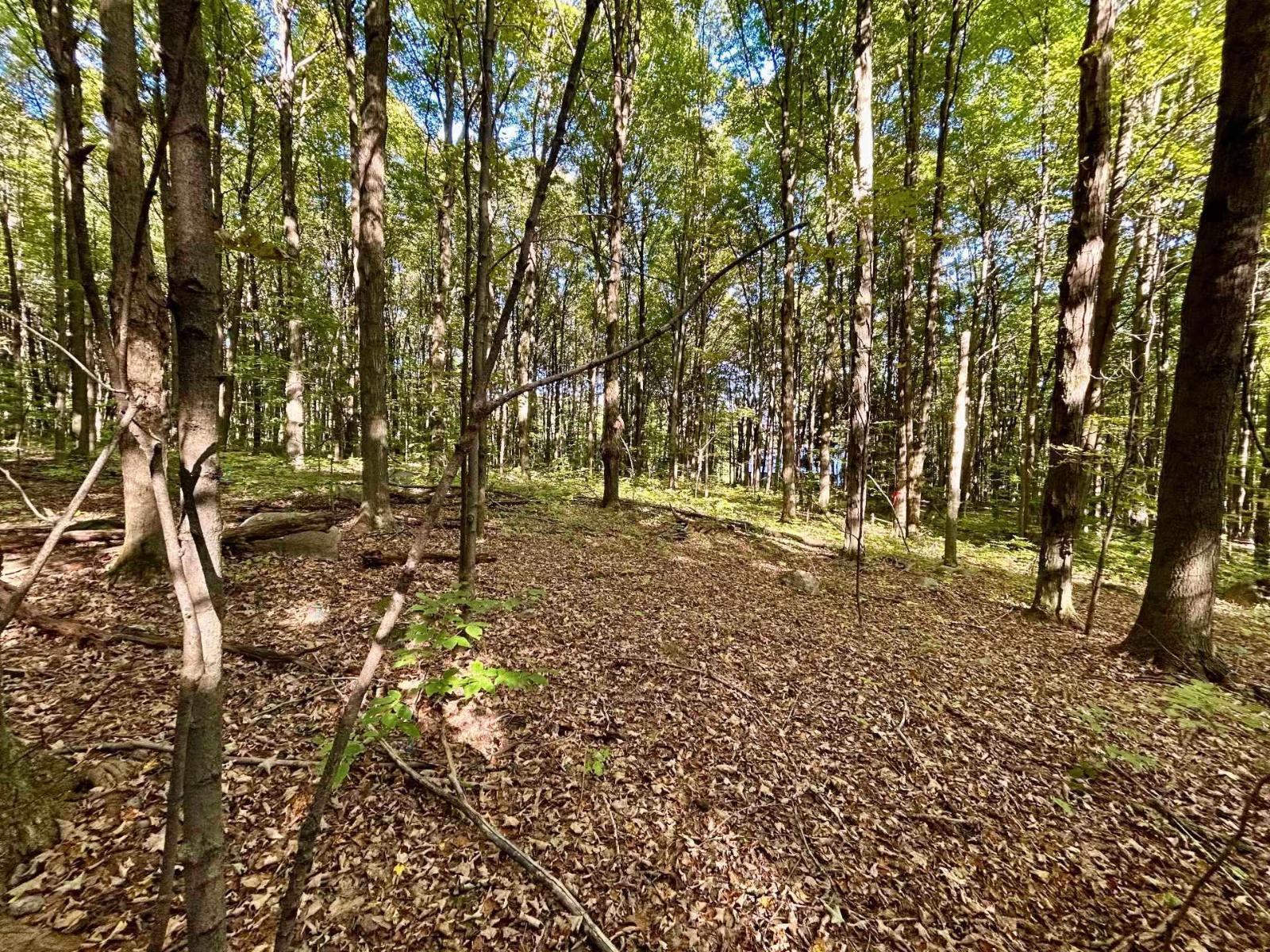 Ch. Raoul-mallette Property Photo 6