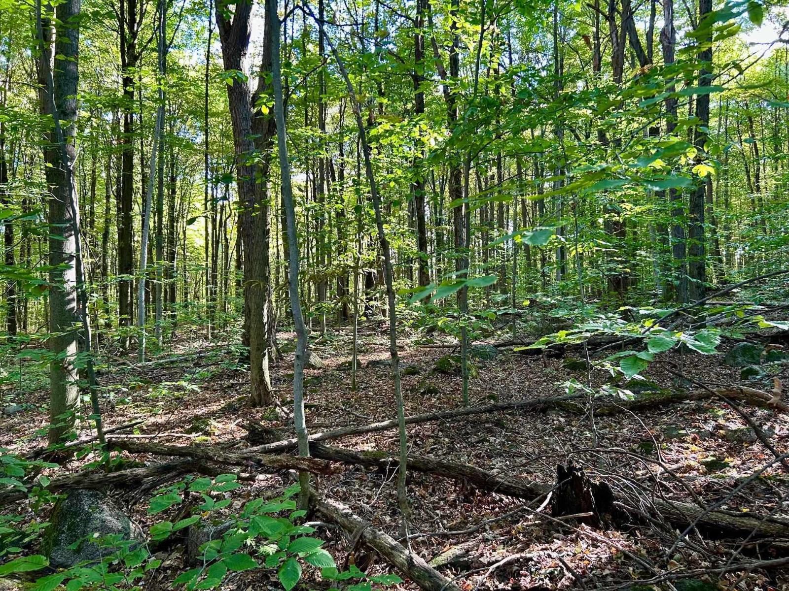 Ch. Raoul-mallette Property Photo 7