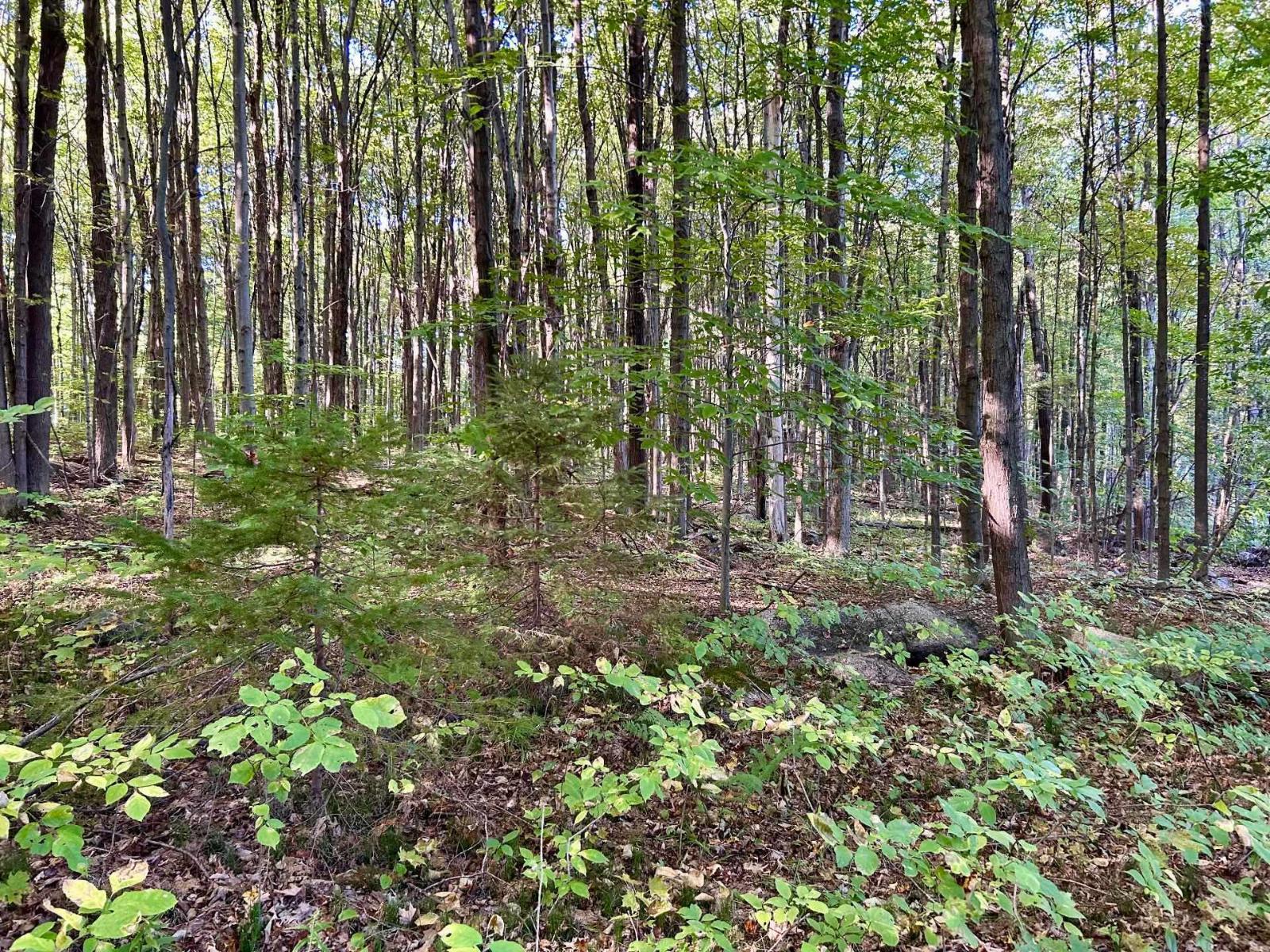 Ch. Raoul-mallette Property Photo 8