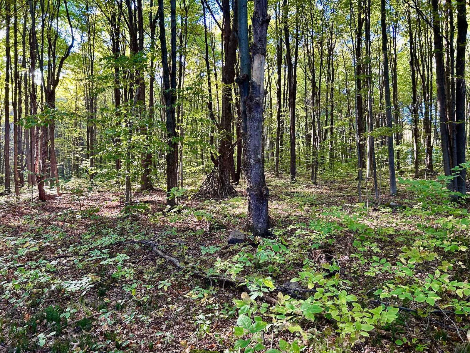 Ch. Raoul-mallette Property Photo 9