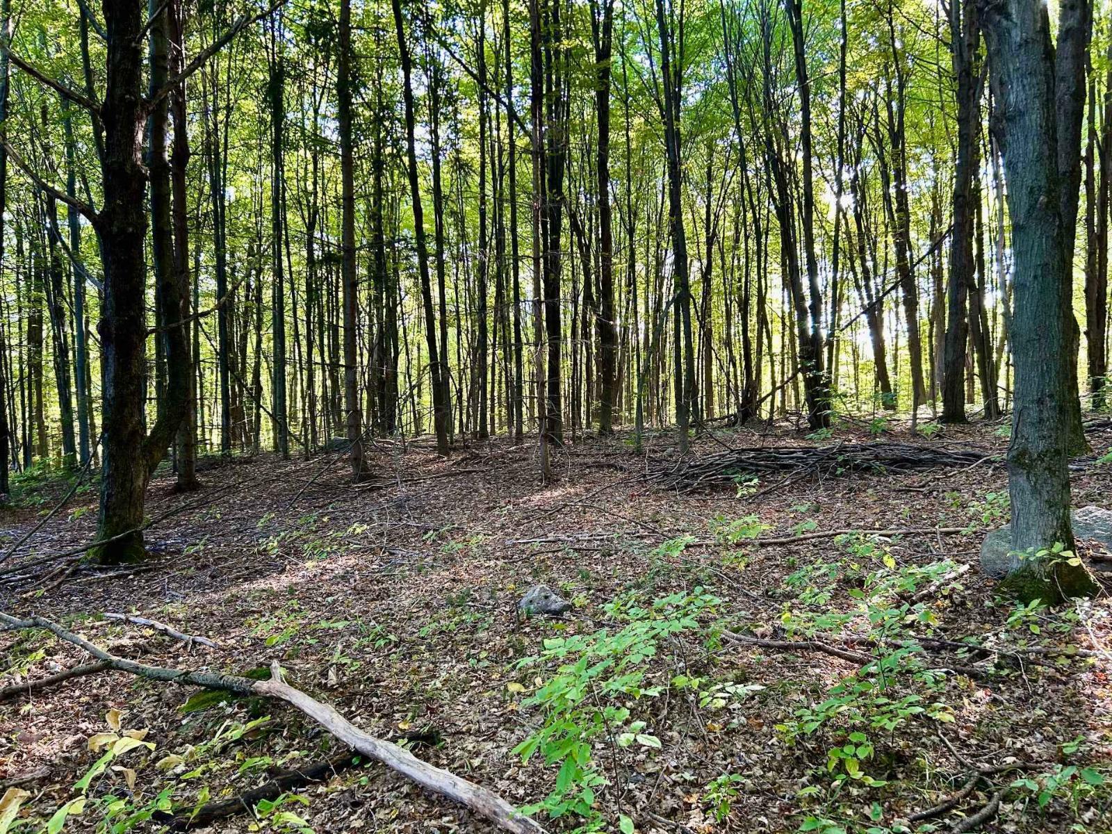 Ch. Raoul-mallette Property Photo 10
