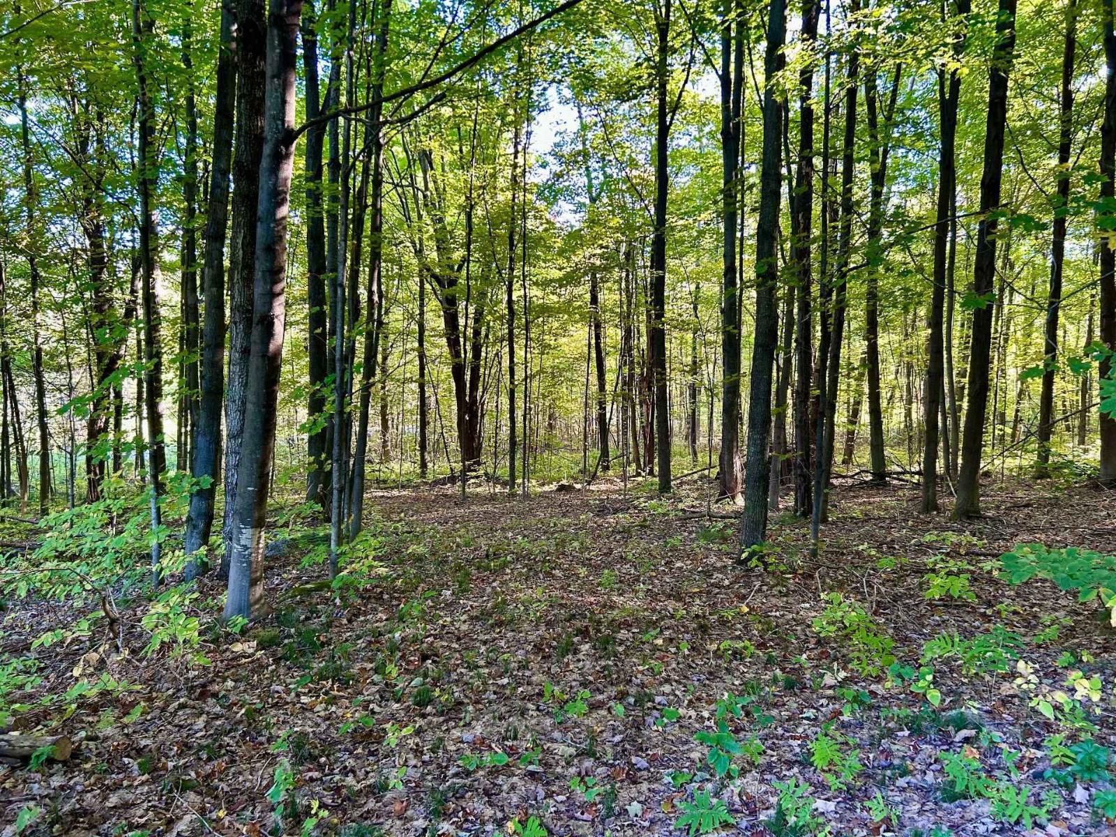 Ch. Raoul-mallette Property Photo 11