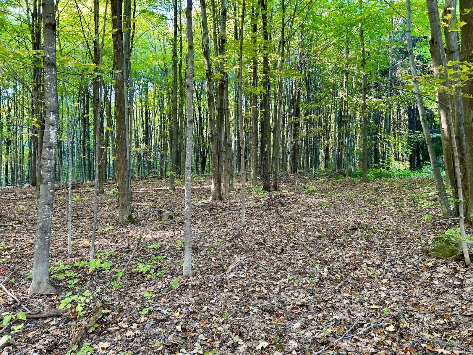 Ch. Raoul-mallette Property Photo 13