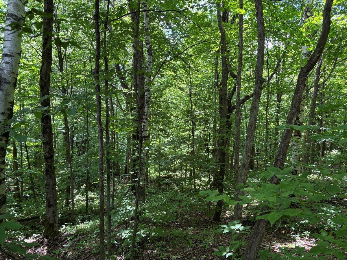 Ch. Des Monts Property Photo 8