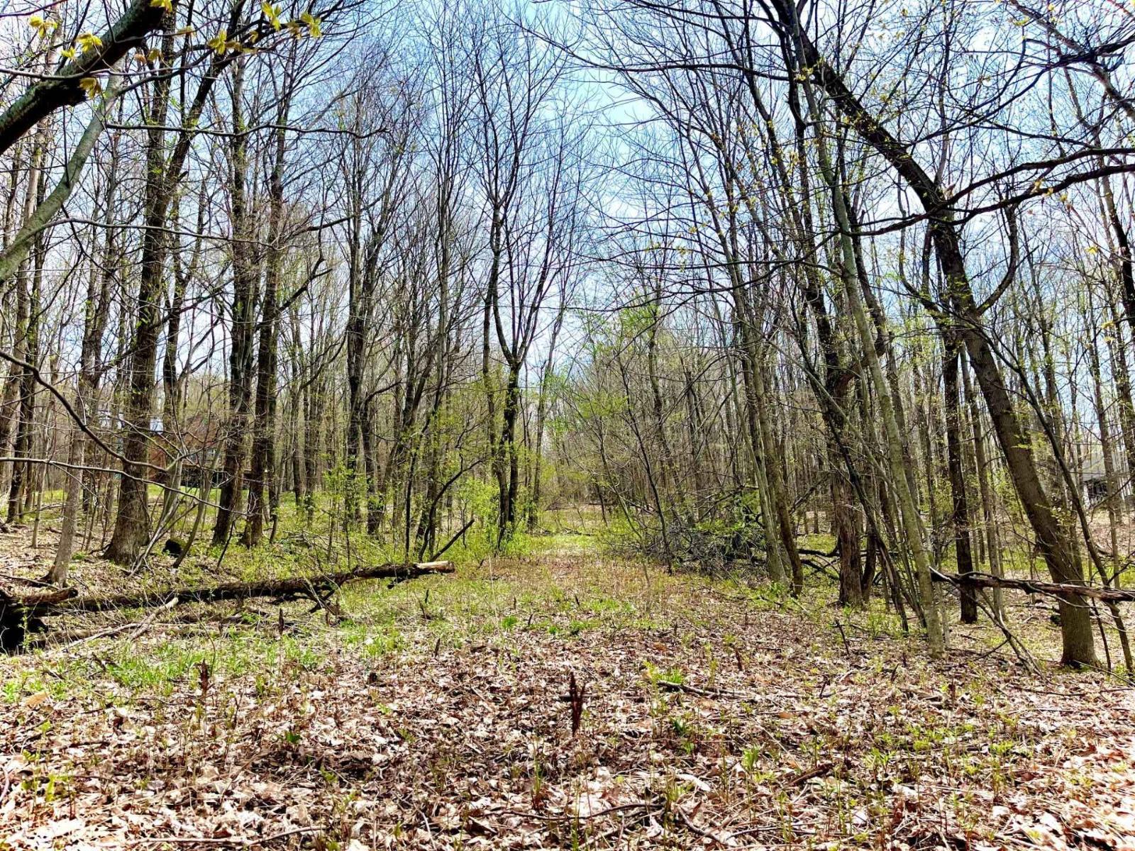 Ch. Des Monts Property Photo 10