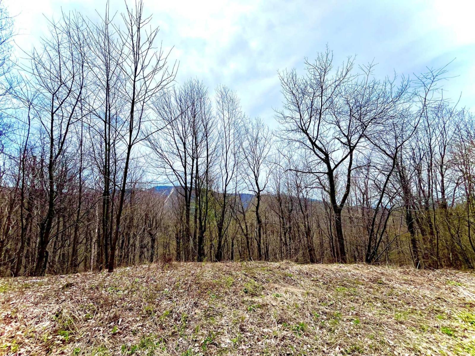 Ch. Des Monts Property Photo 12