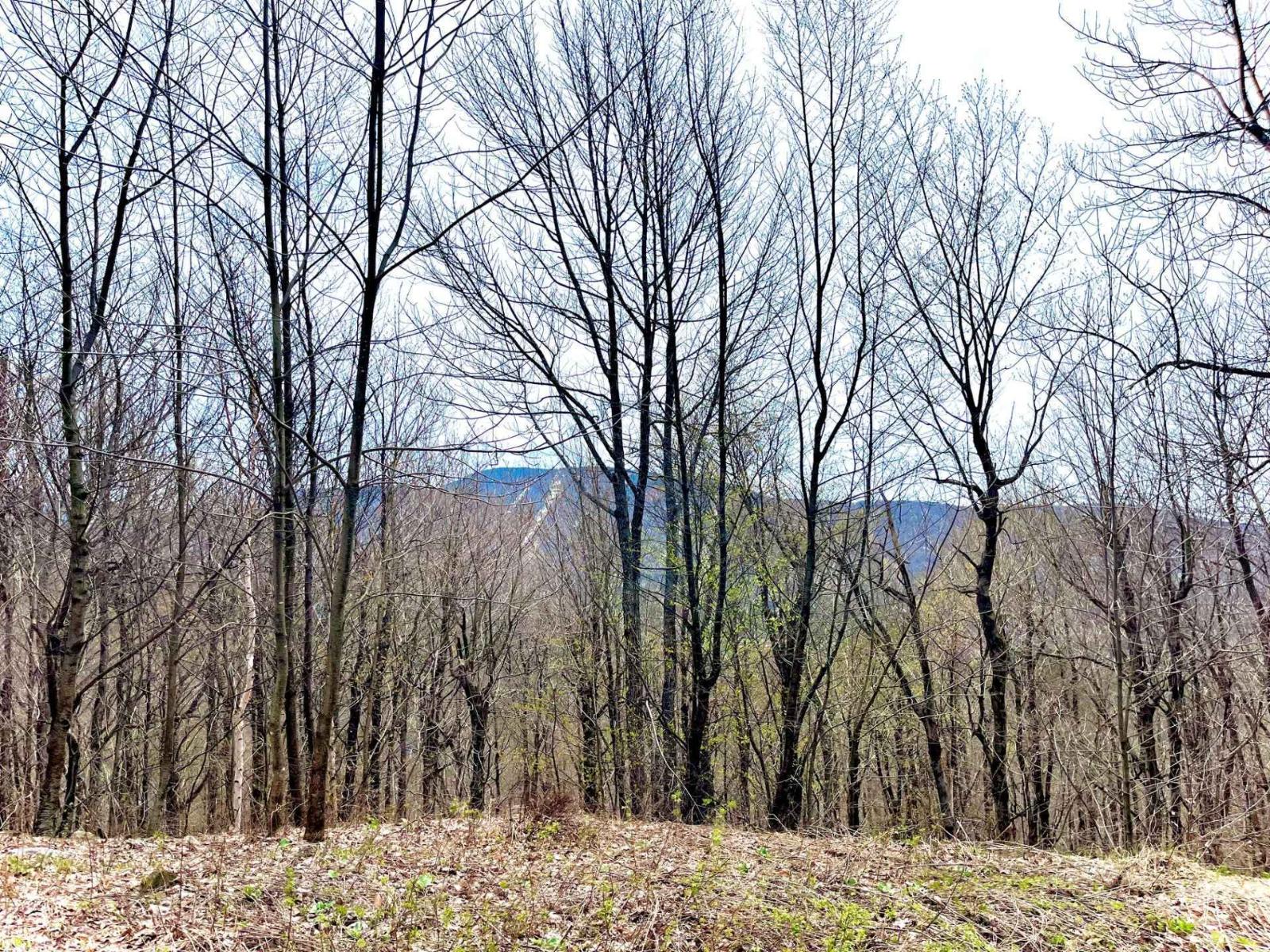 Ch. Des Monts Property Photo 13