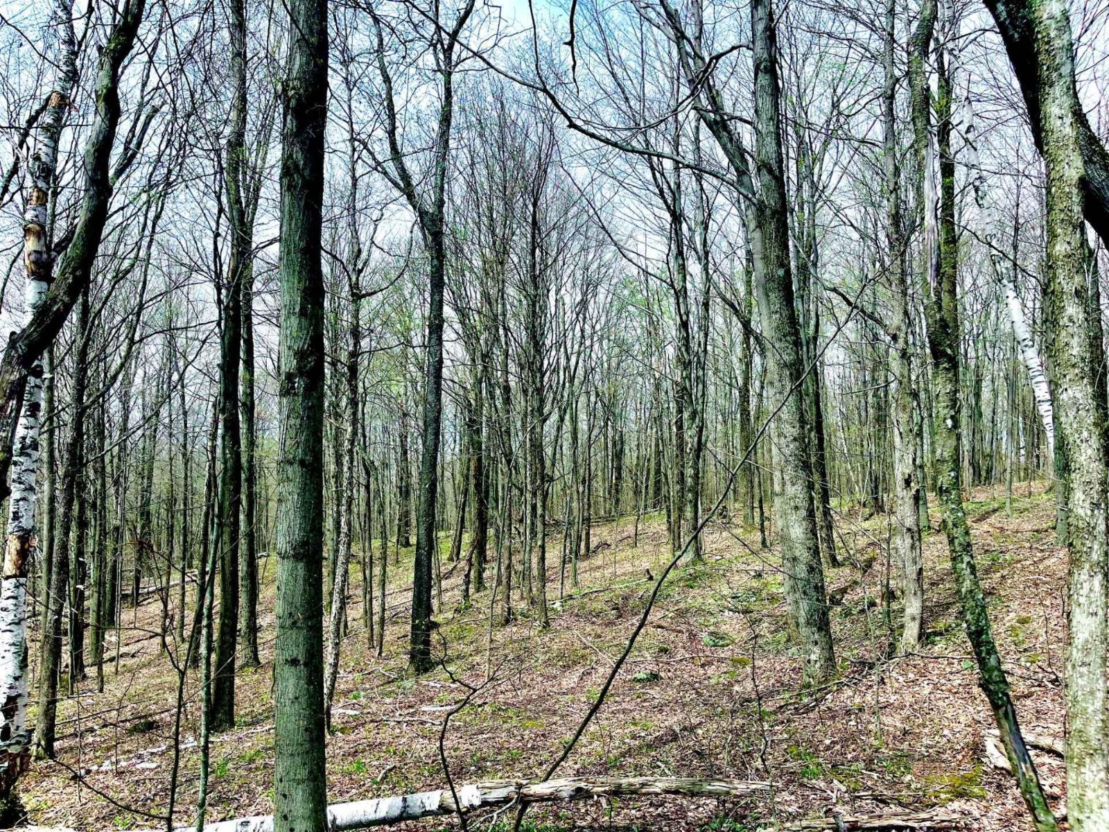 Ch. Des Monts Property Photo 14