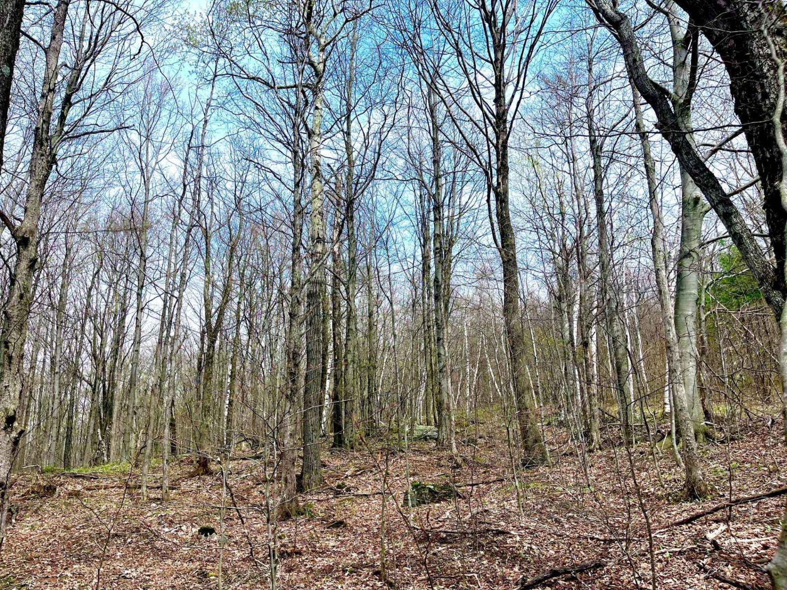 Ch. Des Monts Property Photo 15