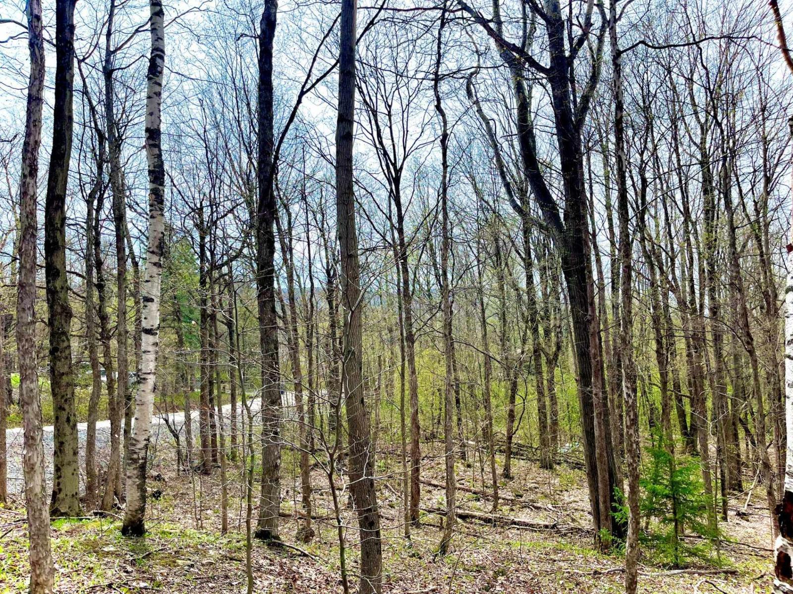 Ch. Des Monts Property Photo 16