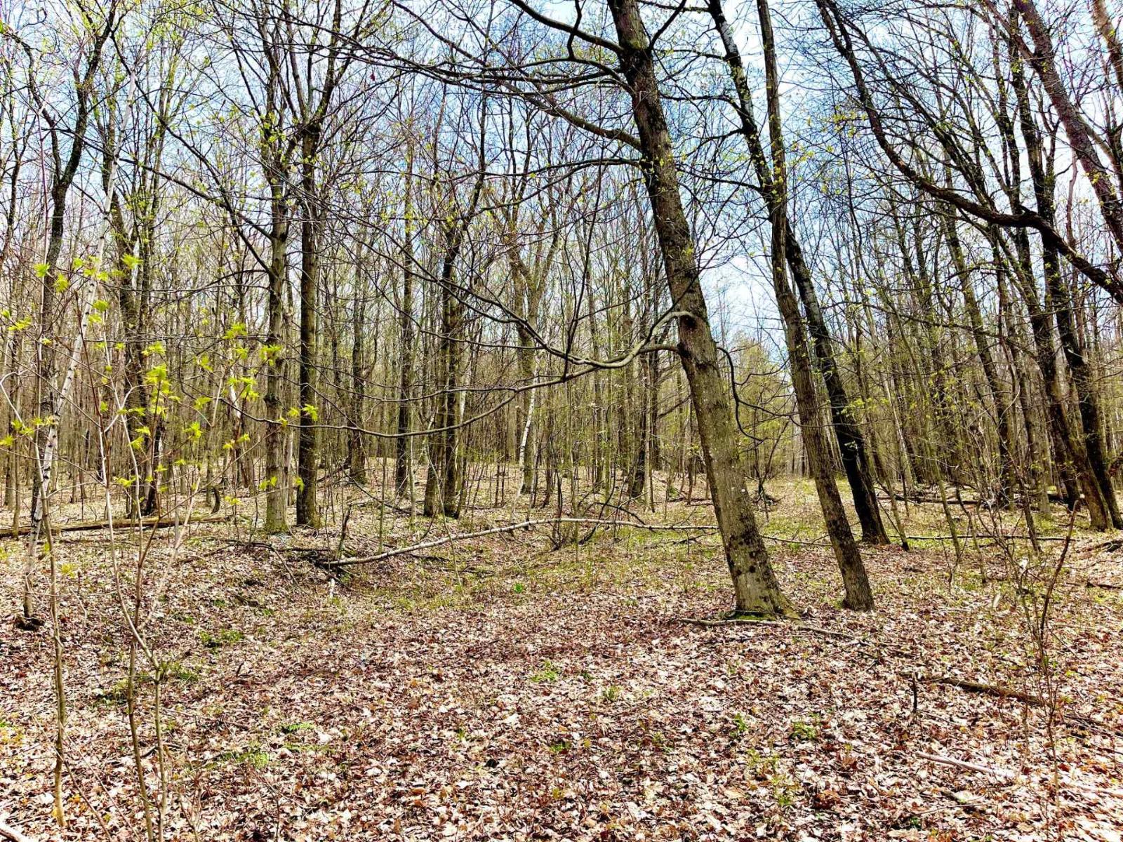 Ch. Des Monts Property Photo 18