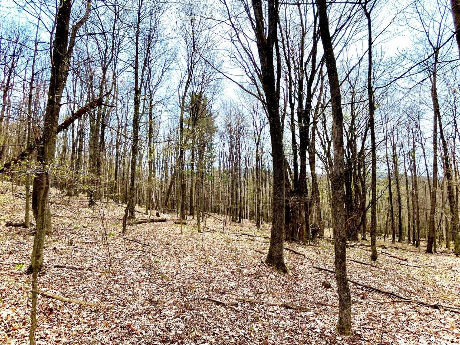 Ch. Des Monts Property Photo 20