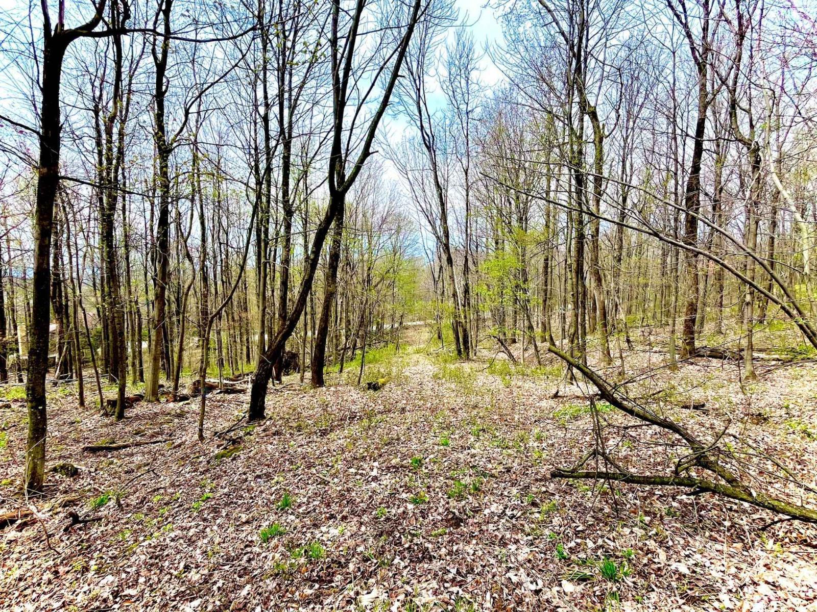 Ch. Des Monts Property Photo 21