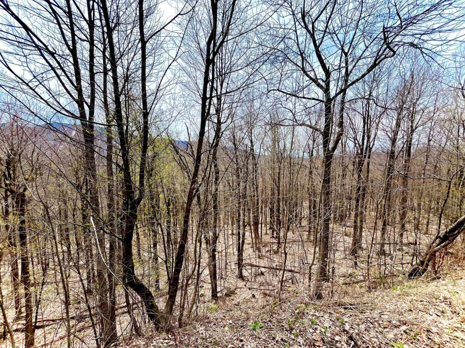 Ch. Des Monts Property Photo 22