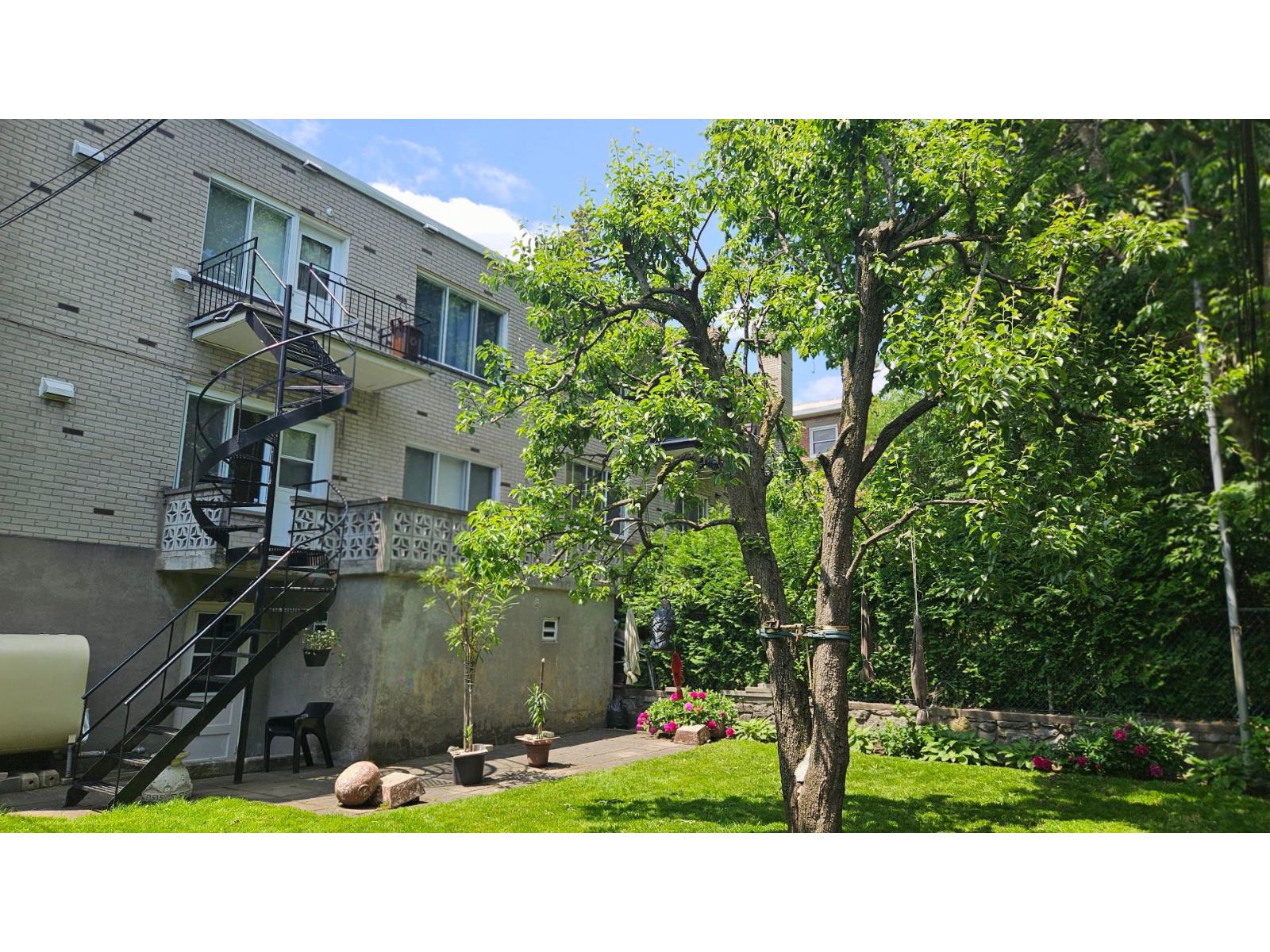 2437 Av. Montclair Property Photo 3