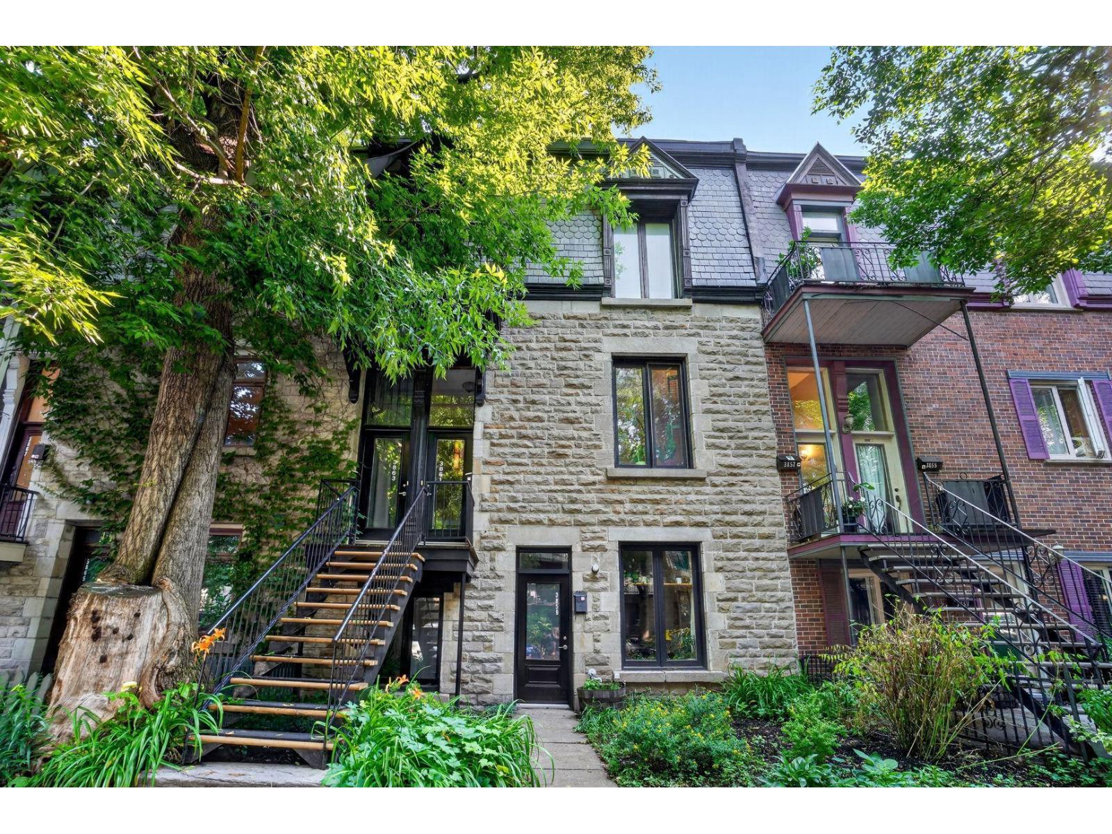 3861 Rue De Mentana Property Photo 2