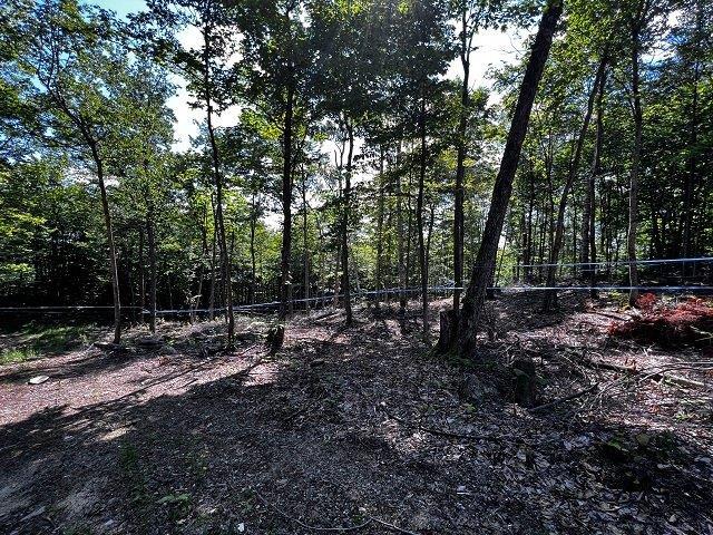 Rue Du Lac-clair O. Property Photo 4