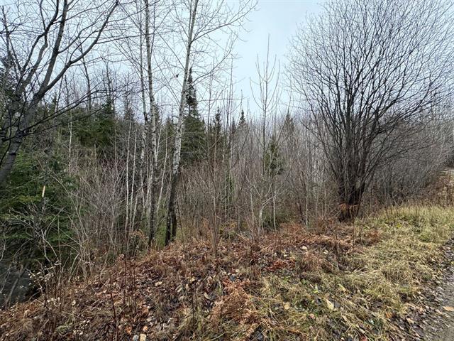 1 Ch. Gagné Property Photo 1