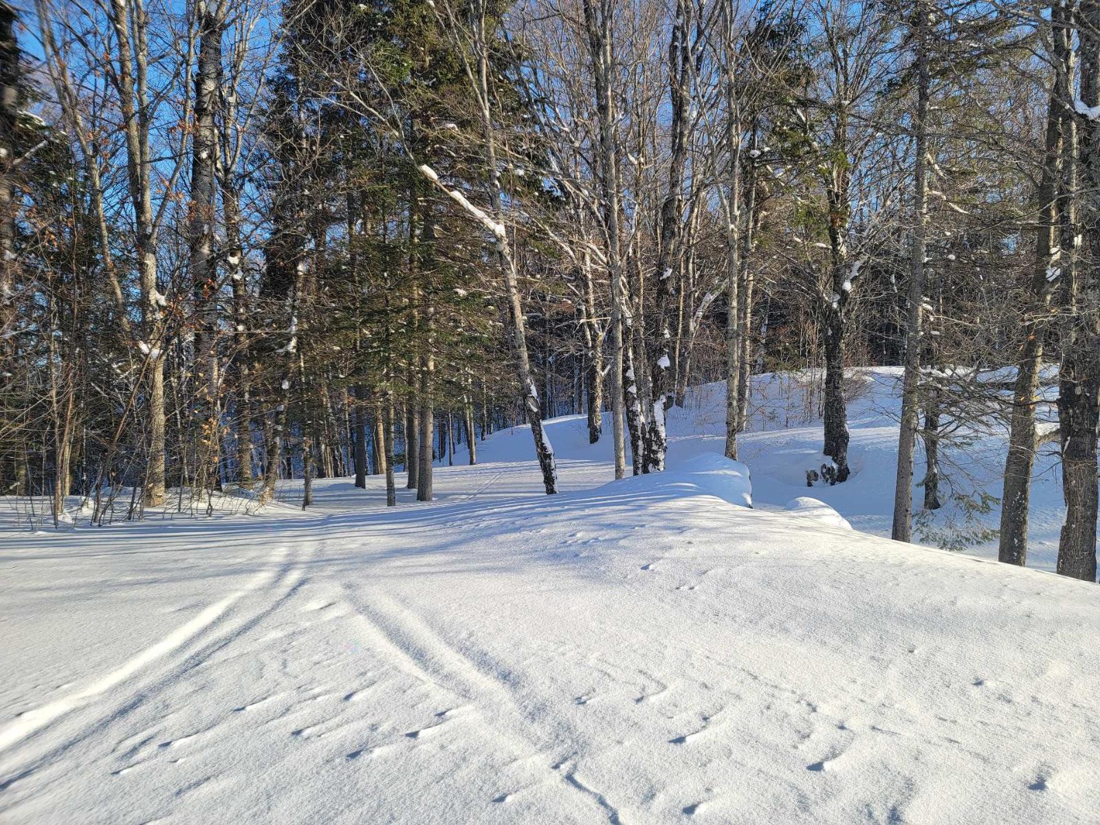 Ch. Du Golf Property Photo 37