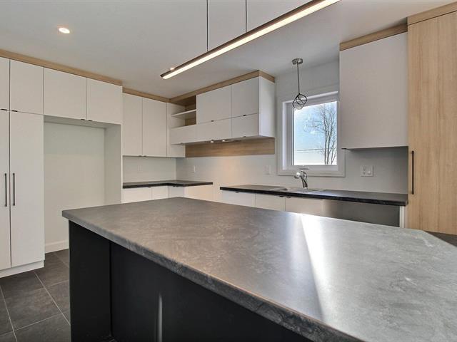 Rue Guy-linteau Property Photo 16