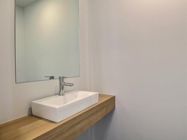 Rue Guy-linteau Property Photo 17