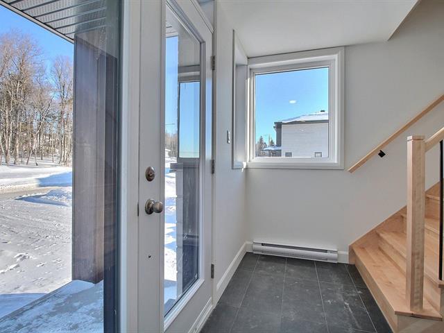 Rue Guy-linteau Property Photo 18